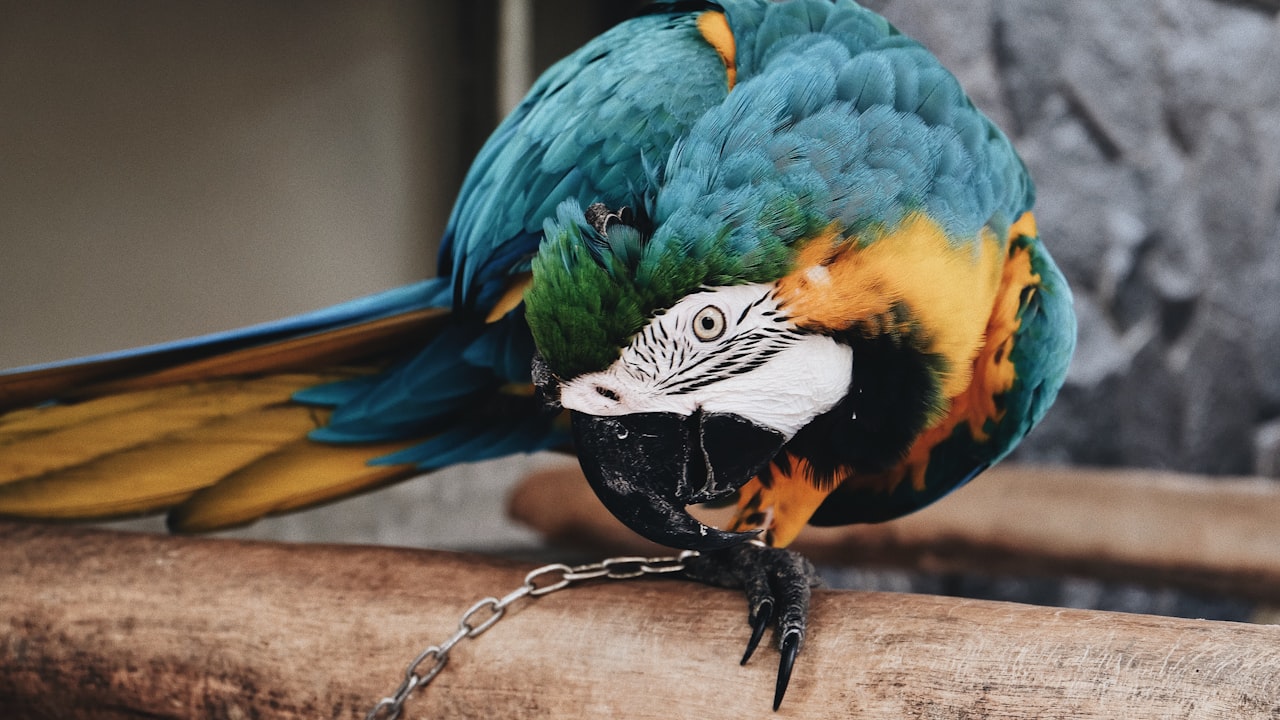 Consider A2 Caliburn as Your Next E-Cigarette Pod