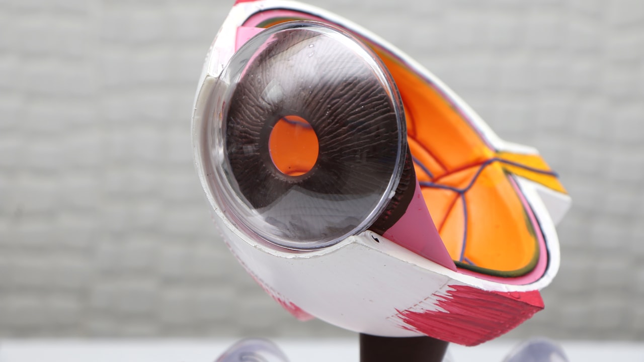 Gray Glasses Frames: Business Class Spectacles For You