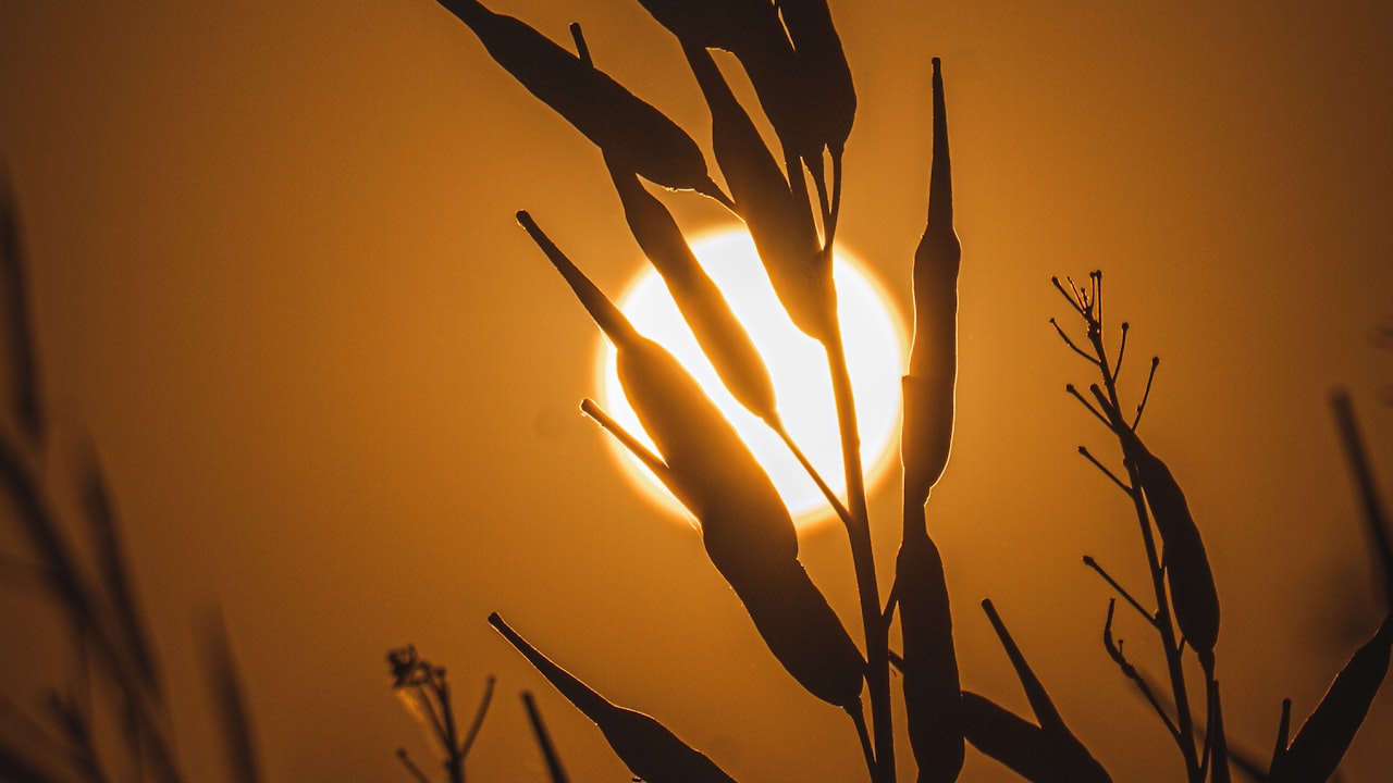 Why Should Sunscreen Application Be Included In Your Skincare Routine?